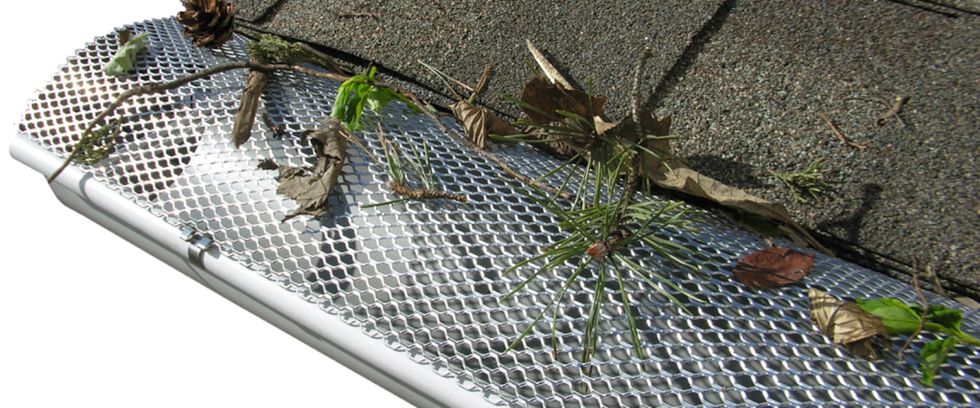 Everything You Need to Know About Gutters and Leaf Guard Gutters